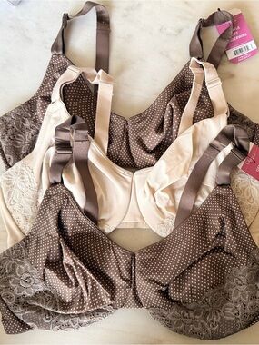 Warner's Beige and Brown Dot & Lace Non-Wired Bra Trio
